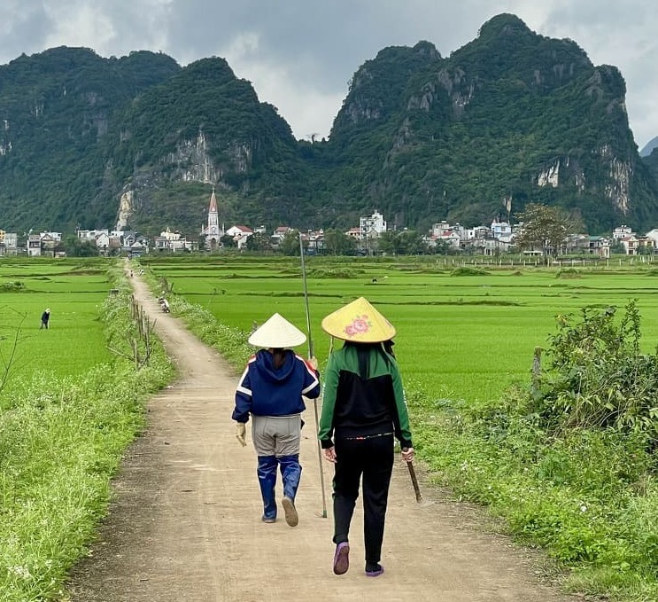 Phong Nha, travail dans les rizières