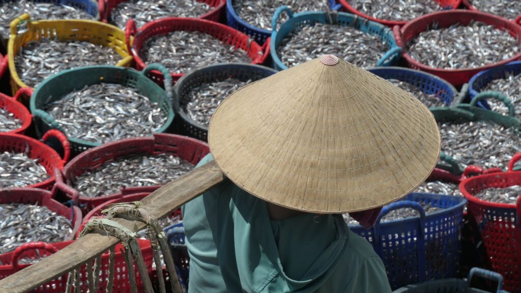 Quy Nhon, village de pêcheurs