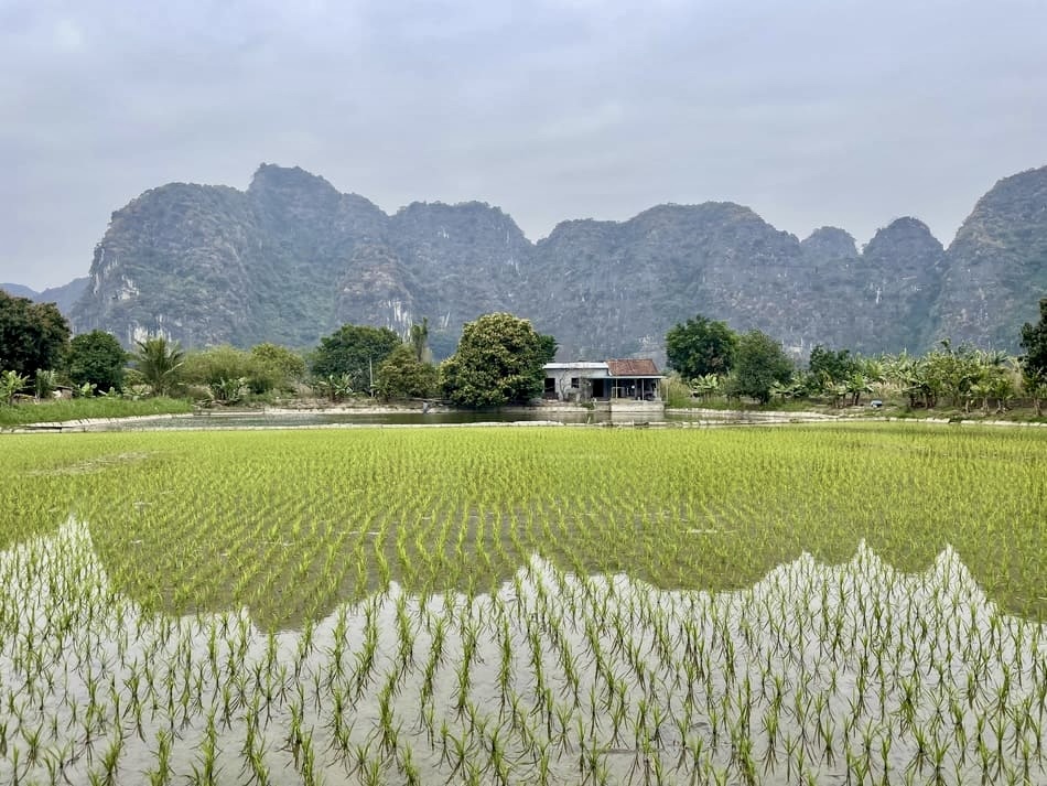 Balade en vélo à Tam Coc