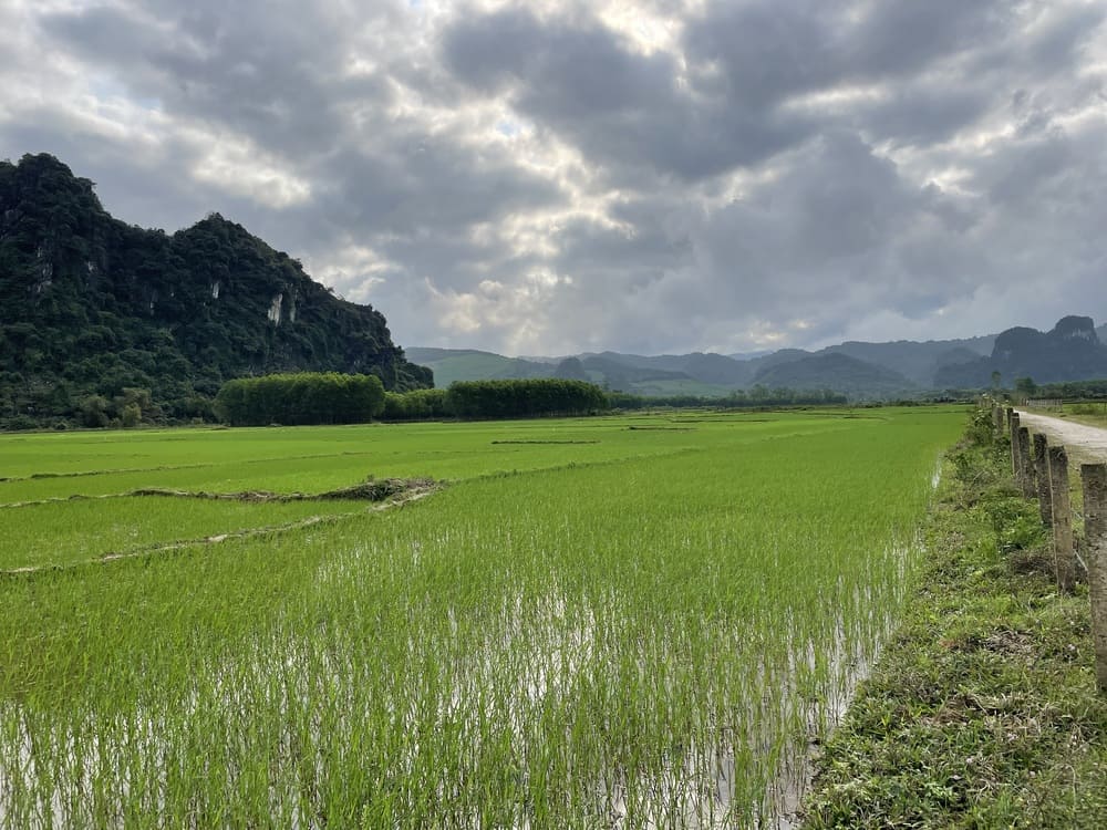 Boucle de Phong Nha, rizières et paysages karstiques