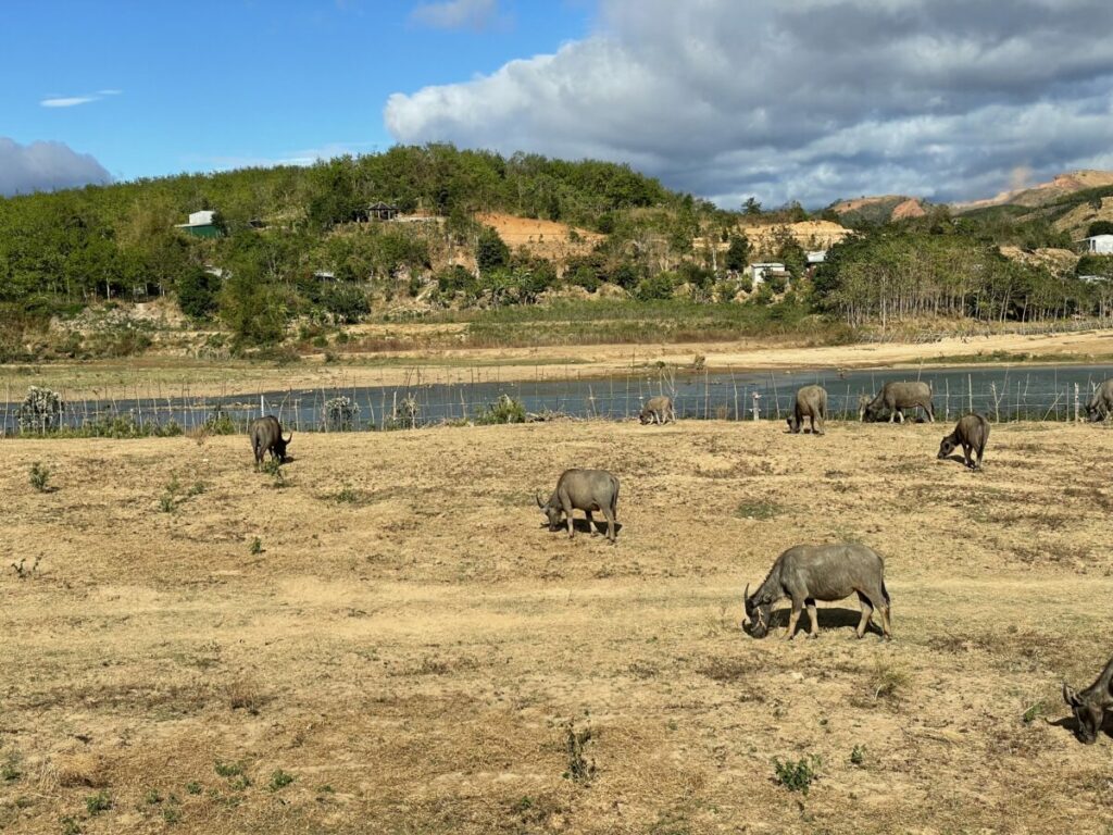 Kon Tum, balade au bord de la rivière