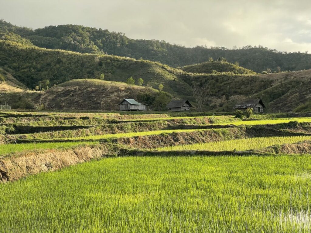 Hauts plateaux du centre du Vietnam, Trekking
