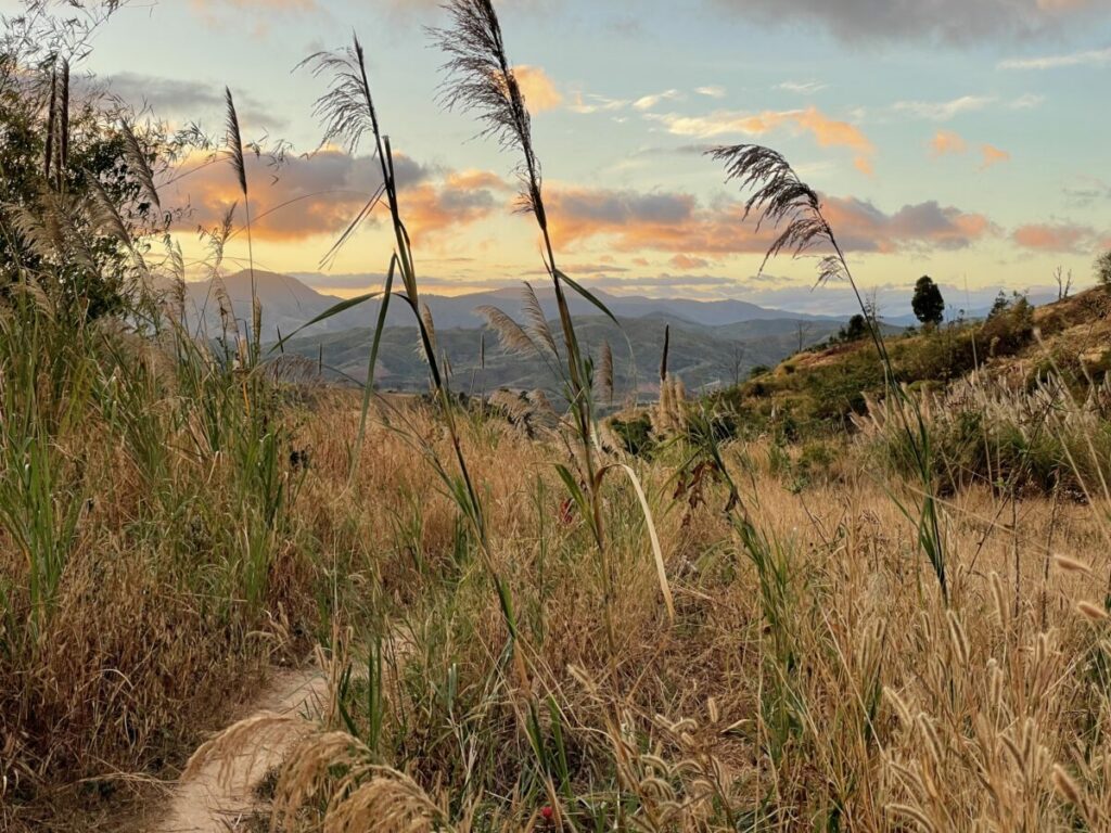 Hauts plateaux du centre du Vietnam