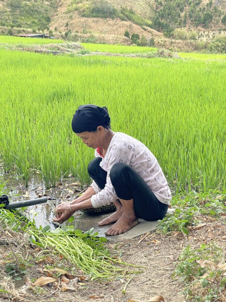 Montagnard dans les hauts plateaux du centre du Vietnam