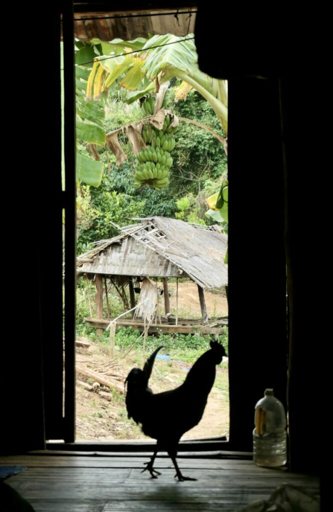 Lever de soleil chez les montagnards dans les hauts plateaux du centre du Vietnam