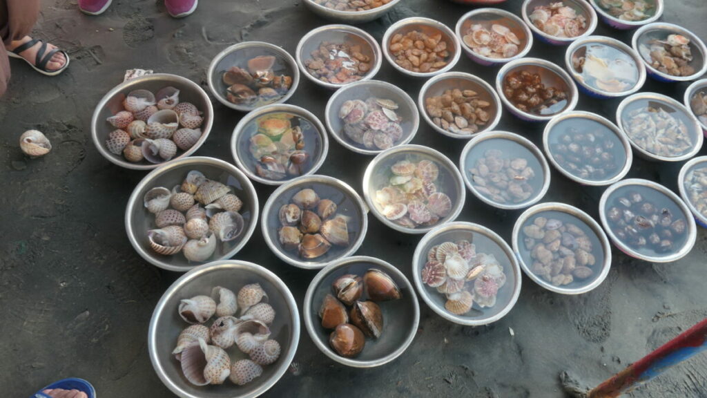 Mui Ne village des pêcheurs, crustacés