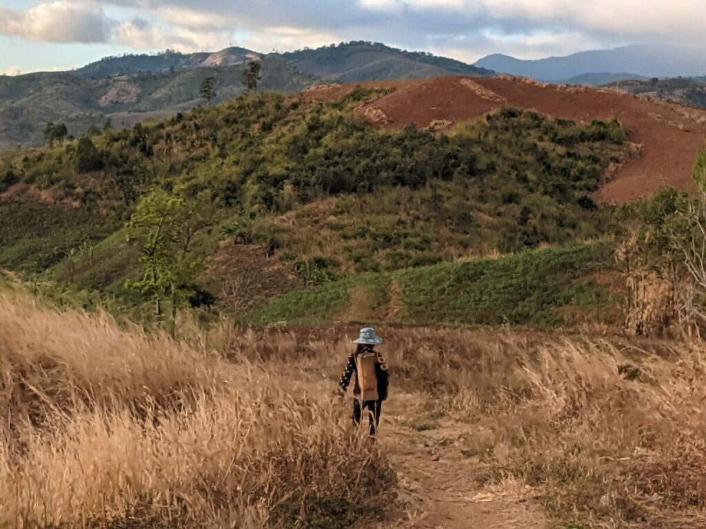 hauts plateaux du Vietnam