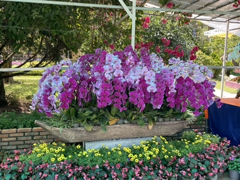 Parc Floral de Da Lat